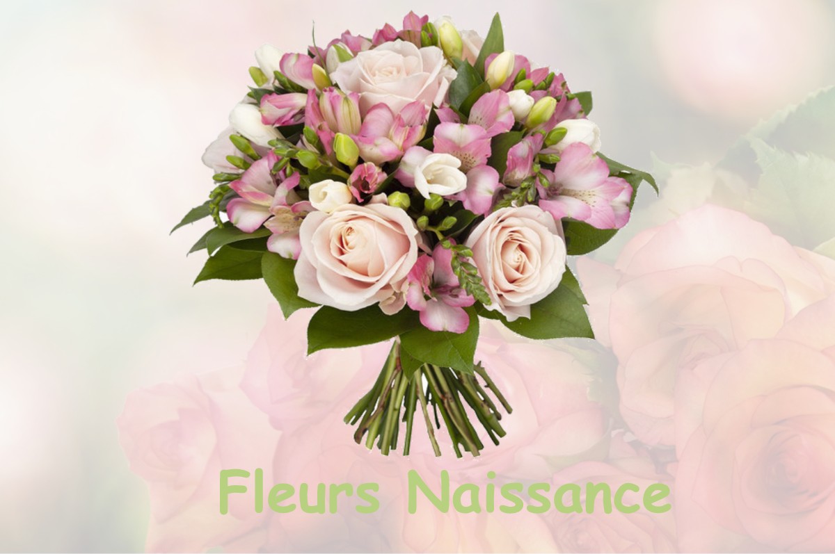 fleurs naissance TROYON