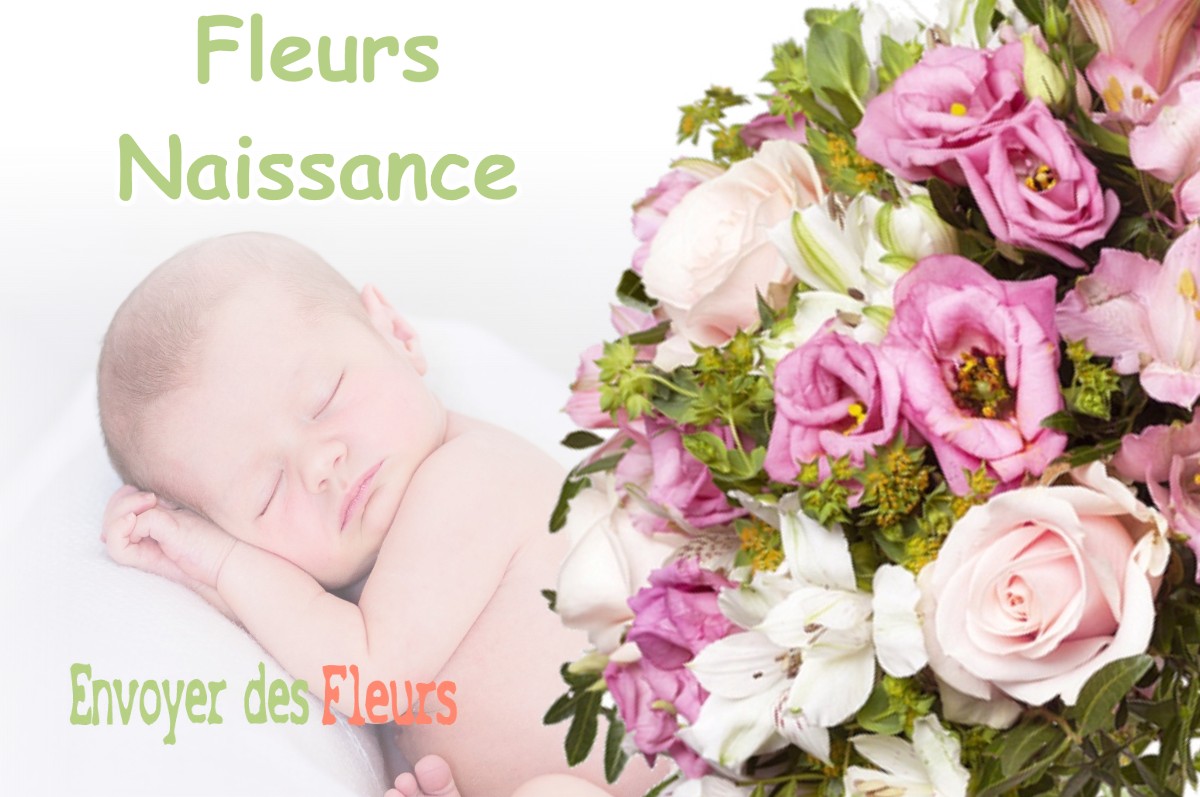 lIVRAISON FLEURS NAISSANCE à TROYON